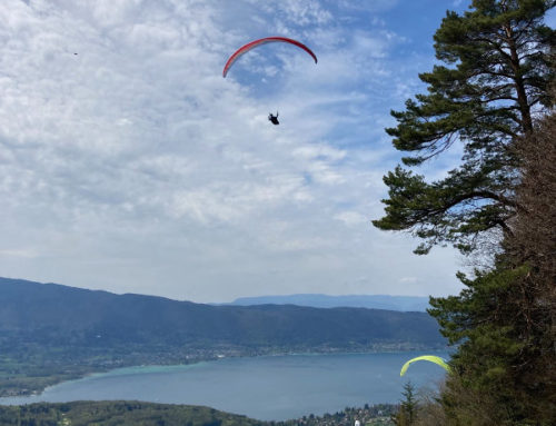 Sorties découvertes accompagnées 2023 – Chamois Volants