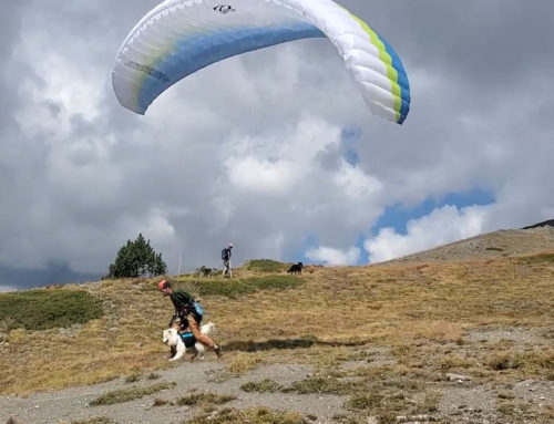 Sortie Ecrins 11 au 17 septembre 2022