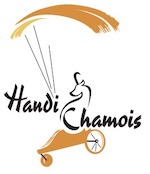 logo handi chamois volants