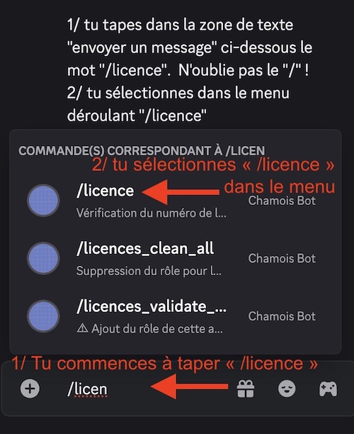 Discord accès Discord accès