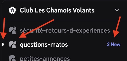 Discord-types-salons